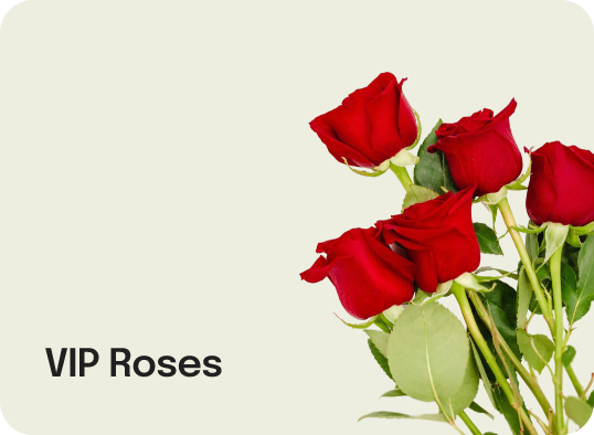 Vip Roses Tile